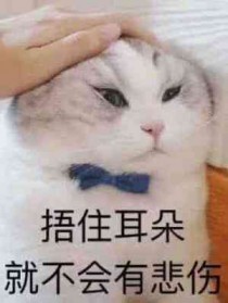 ���ڻ���ֻ���˻�