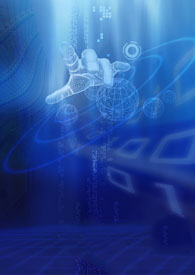 ɽ�����⣬������