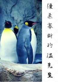 ����Ѷϵ�������